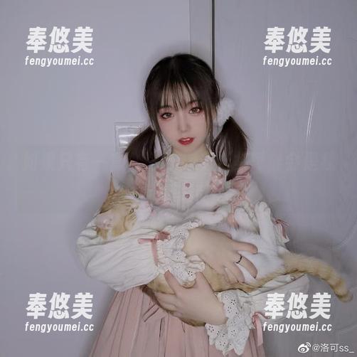 如果只有一套，洛可ss的合集可能会是我的选择！