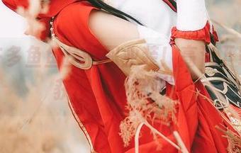 看，许多鱼鱼鱼的职业装！高清下载轻松获取，收藏吧。