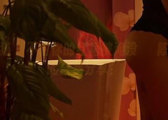 轰趴猫 – 不怕你的红裙被淹没──陈雅漫的合集分享！